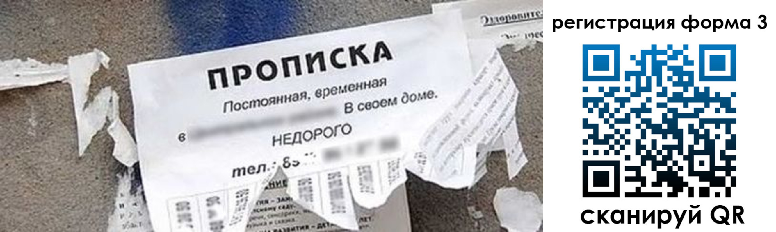 прописка 2025 в Михайлове